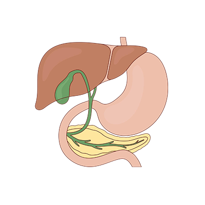 Gallbladder Surgery