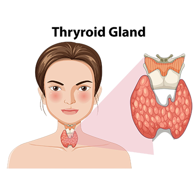 Thyroid Surgery